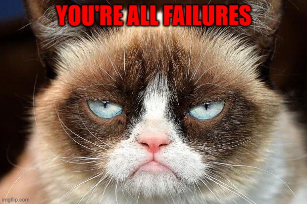 Grumpy Cat Not Amused Meme | YOU'RE ALL FAILURES | image tagged in memes,grumpy cat not amused,grumpy cat | made w/ Imgflip meme maker