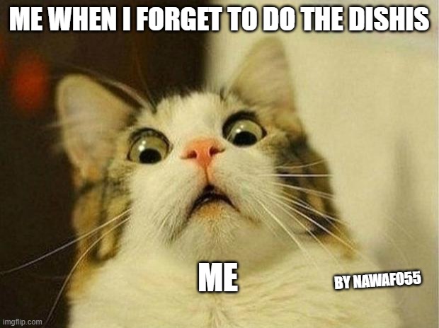 Scared Cat |  ME WHEN I FORGET TO DO THE DISHIS; ME; BY NAWAFO55 | image tagged in memes,scared cat | made w/ Imgflip meme maker