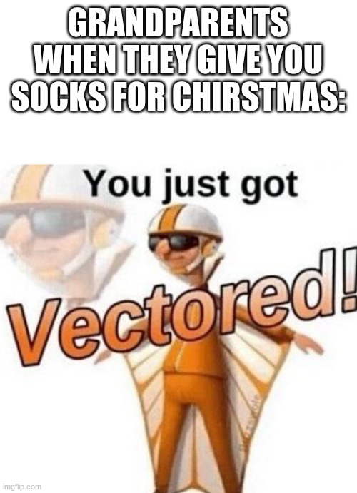 You just got SoCkS | GRANDPARENTS WHEN THEY GIVE YOU SOCKS FOR CHRISTMAS: | image tagged in you just got vectored | made w/ Imgflip meme maker