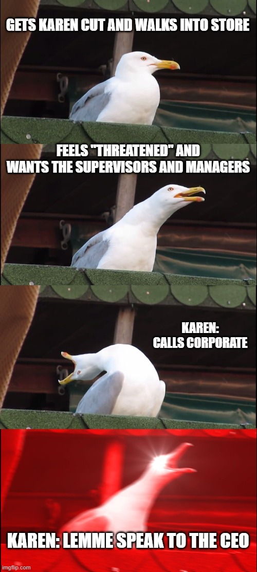 karen list | GETS KAREN CUT AND WALKS INTO STORE; FEELS "THREATENED" AND WANTS THE SUPERVISORS AND MANAGERS; KAREN: CALLS CORPORATE; KAREN: LEMME SPEAK TO THE CEO | image tagged in memes,inhaling seagull | made w/ Imgflip meme maker