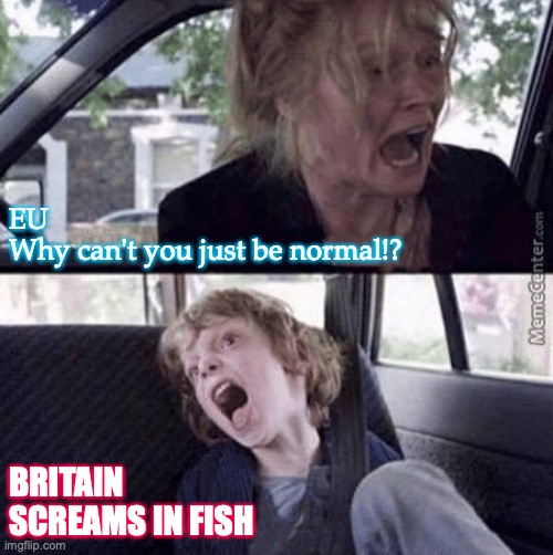 Brexit | EU
Why can't you just be normal!? BRITAIN
SCREAMS IN FISH | image tagged in brexit | made w/ Imgflip meme maker