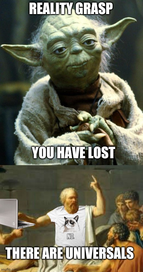 REALITY GRASP YOU HAVE LOST THERE ARE UNIVERSALS | image tagged in memes,star wars yoda,socrates properly attired | made w/ Imgflip meme maker