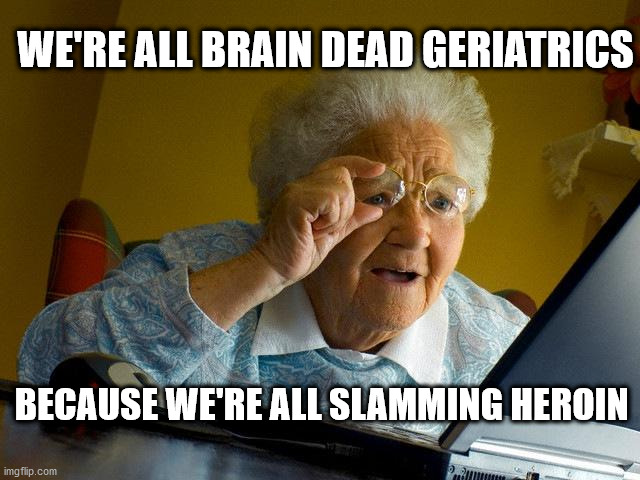 Grandma Finds The Internet |  WE'RE ALL BRAIN DEAD GERIATRICS; BECAUSE WE'RE ALL SLAMMING HEROIN | image tagged in memes,grandma finds the internet | made w/ Imgflip meme maker