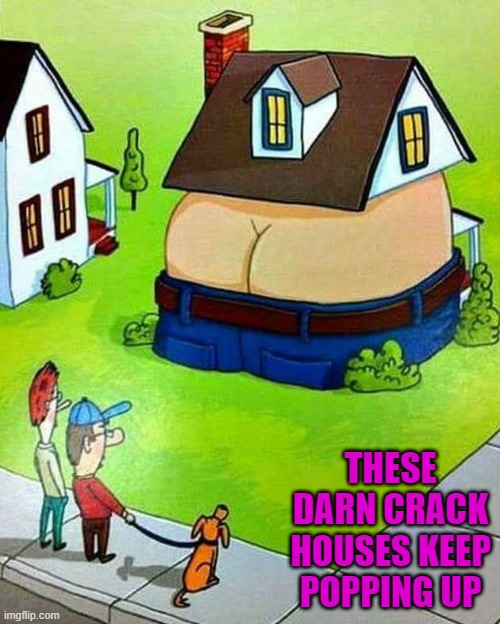 There goes the neighborhood! | THESE DARN CRACK HOUSES KEEP POPPING UP | image tagged in crack house,memes,funny | made w/ Imgflip meme maker