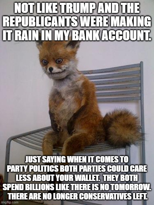 broke fox | NOT LIKE TRUMP AND THE REPUBLICANTS WERE MAKING IT RAIN IN MY BANK ACCOUNT. JUST SAYING WHEN IT COMES TO PARTY POLITICS BOTH PARTIES COULD C | image tagged in broke fox | made w/ Imgflip meme maker