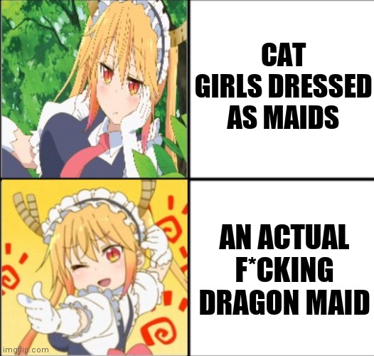 Tohru format | CAT GIRLS DRESSED AS MAIDS AN ACTUAL F*CKING DRAGON MAID | image tagged in tohru format | made w/ Imgflip meme maker