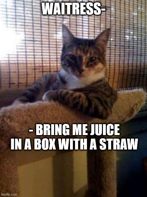 The Most Interesting Cat In The World Meme | WAITRESS-; - BRING ME JUICE IN A BOX WITH A STRAW | image tagged in memes,the most interesting cat in the world | made w/ Imgflip meme maker