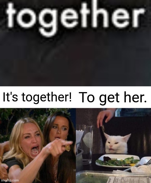 Cat says to get her. | It's together! To get her. | image tagged in apes strong together,memes,woman yelling at cat | made w/ Imgflip meme maker