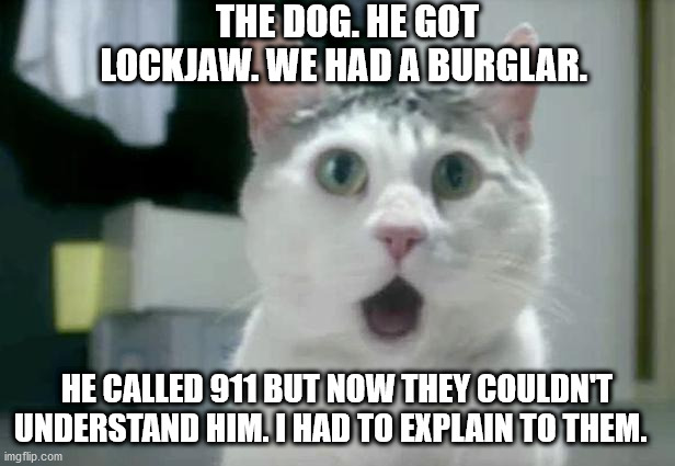 OMG Cat | THE DOG. HE GOT LOCKJAW. WE HAD A BURGLAR. HE CALLED 911 BUT NOW THEY COULDN'T UNDERSTAND HIM. I HAD TO EXPLAIN TO THEM. | image tagged in memes,omg cat | made w/ Imgflip meme maker