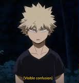 High Quality visible confusion bakugo Blank Meme Template