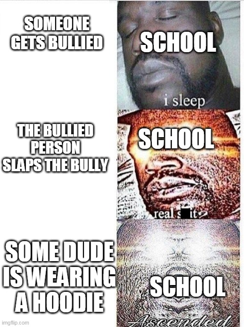 real s it? | SCHOOL; SOMEONE GETS BULLIED; THE BULLIED PERSON SLAPS THE BULLY; SCHOOL; SOME DUDE IS WEARING A HOODIE; SCHOOL | image tagged in i sleep meme with ascended template | made w/ Imgflip meme maker