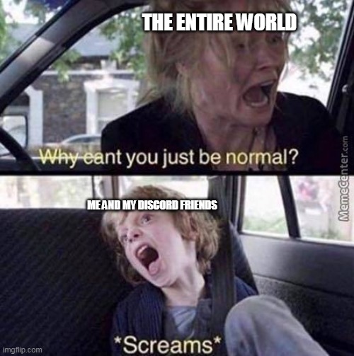 me and my disc friends be like | THE ENTIRE WORLD; ME AND MY DISCORD FRIENDS | image tagged in why can't you just be normal | made w/ Imgflip meme maker