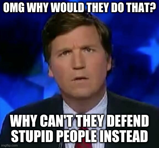 tucker *ucker | OMG WHY WOULD THEY DO THAT? WHY CAN'T THEY DEFEND STUPID PEOPLE INSTEAD | image tagged in confused tucker carlson | made w/ Imgflip meme maker