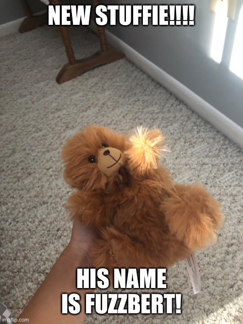 :3 | NEW STUFFIE!!!! HIS NAME IS FUZZBERT! | image tagged in agere,age regression,little,stuffie,bear | made w/ Imgflip meme maker