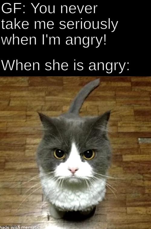 You dont take me seriously! | GF: You never take me seriously when I'm angry! When she is angry: | image tagged in memes,funny,pandaboyplaysyt,cats,animals | made w/ Imgflip meme maker