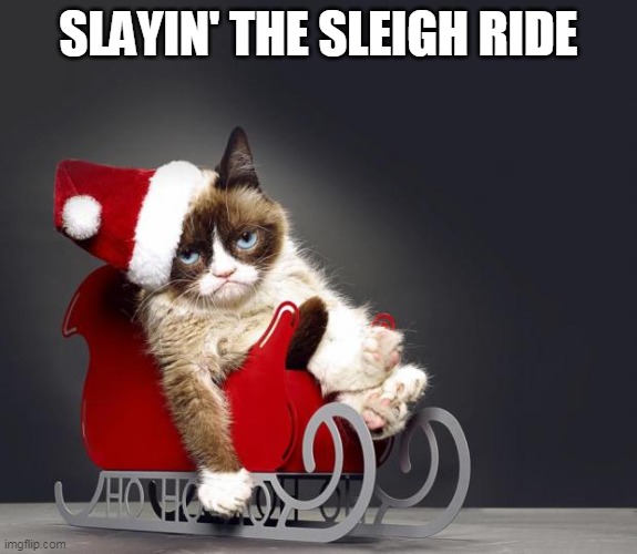 Sleigh ride | SLAYIN' THE SLEIGH RIDE | image tagged in grumpy cat christmas hd,memes | made w/ Imgflip meme maker