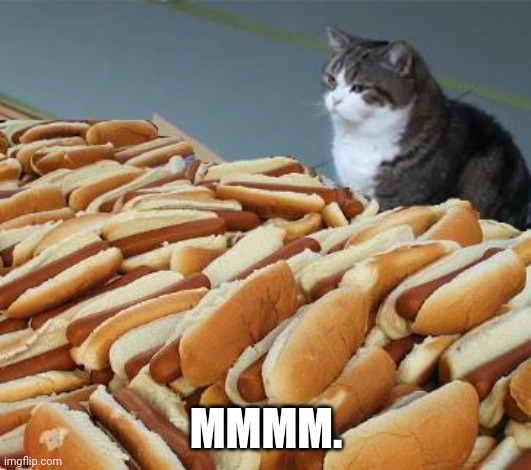 Too many hot dogs | MMMM. | image tagged in too many hot dogs | made w/ Imgflip meme maker