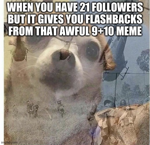 OH GOD | WHEN YOU HAVE 21 FOLLOWERS BUT IT GIVES YOU FLASHBACKS FROM THAT AWFUL 9+10 MEME | image tagged in ptsd chihuahua,memes,funny,relatable,21 | made w/ Imgflip meme maker