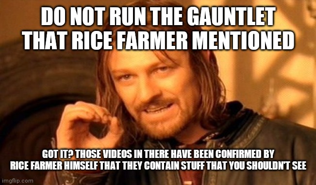 I stg why did he do that | DO NOT RUN THE GAUNTLET THAT RICE FARMER MENTIONED; GOT IT? THOSE VIDEOS IN THERE HAVE BEEN CONFIRMED BY RICE FARMER HIMSELF THAT THEY CONTAIN STUFF THAT YOU SHOULDN'T SEE | made w/ Imgflip meme maker