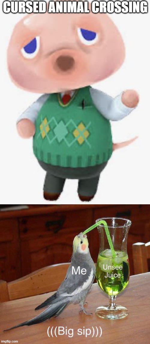 Um... | CURSED ANIMAL CROSSING | image tagged in animal crossing,funny memes | made w/ Imgflip meme maker