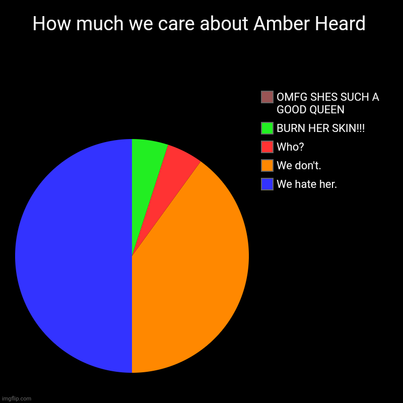Amber Heard chart | How much we care about Amber Heard | We hate her., We don't., Who?, BURN HER SKIN!!!, OMFG SHES SUCH A GOOD QUEEN | image tagged in charts,pie charts | made w/ Imgflip chart maker