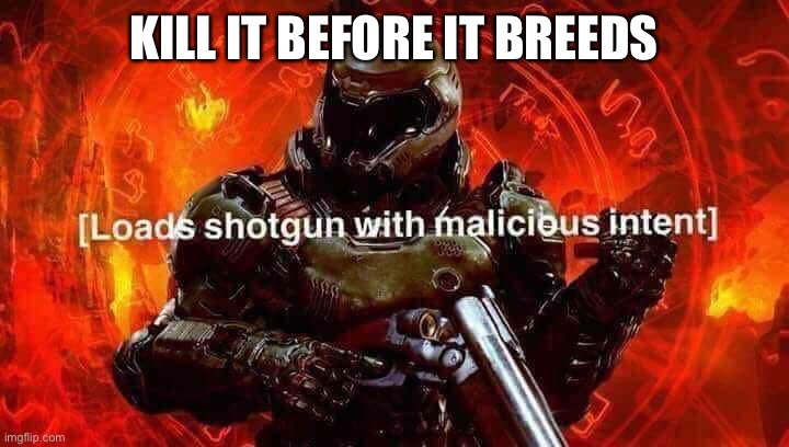 Loads shotgun with malicious intent | KILL IT BEFORE IT BREEDS | image tagged in loads shotgun with malicious intent | made w/ Imgflip meme maker