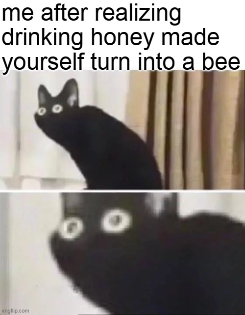 oh jesus | me after realizing drinking honey made yourself turn into a bee | image tagged in oh no black cat | made w/ Imgflip meme maker