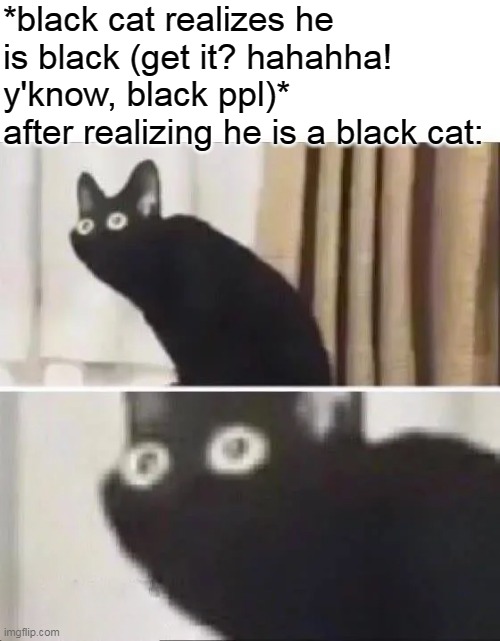 message to the black ppl reading this meme: sorry not sorry | *black cat realizes he is black (get it? hahahha! y'know, black ppl)*
after realizing he is a black cat: | image tagged in oh no black cat | made w/ Imgflip meme maker