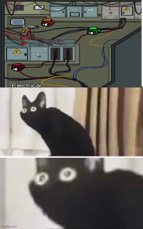 this is hell in a nutshell | image tagged in oh no black cat | made w/ Imgflip meme maker