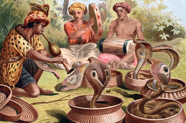 Snake charmer Blank Meme Template