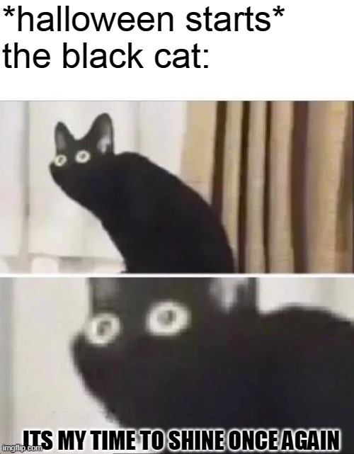 spooky month!! (friday night funkin' reference) | *halloween starts*
the black cat:; ITS MY TIME TO SHINE ONCE AGAIN | image tagged in oh no black cat | made w/ Imgflip meme maker