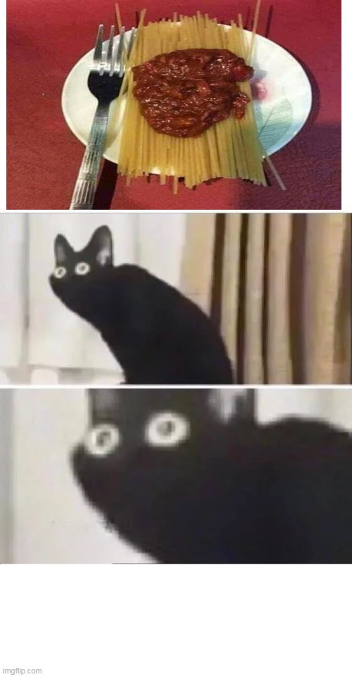 i don't think thats how you make spagetti.. | image tagged in oh no black cat | made w/ Imgflip meme maker