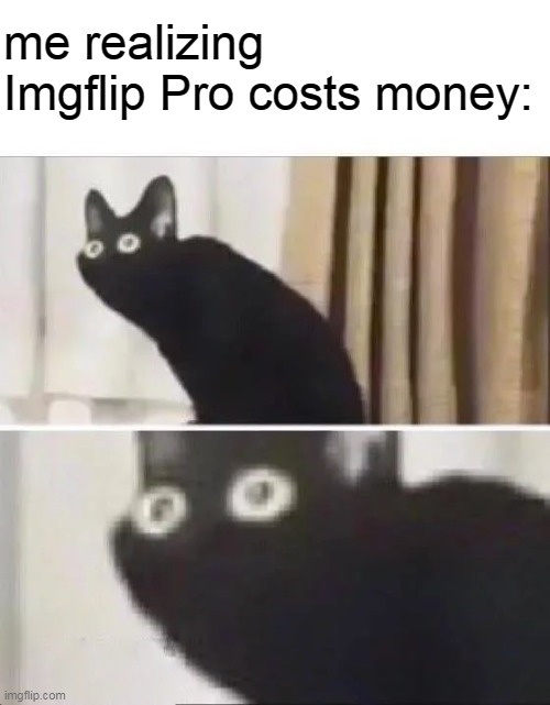 i thought it was free!! ┗|｀O′|┛      (╬▔皿▔)╯      ┻━┻ ︵ ＼( °□° )／ ︵ ┻━┻ | me realizing Imgflip Pro costs money: | image tagged in oh no black cat | made w/ Imgflip meme maker