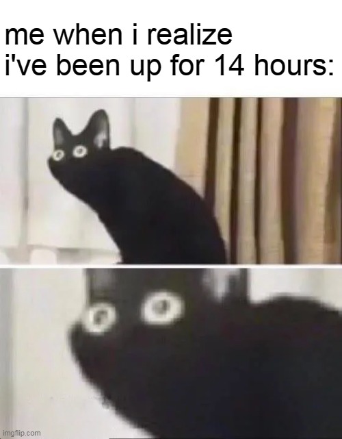 at night* | me when i realize i've been up for 14 hours: | image tagged in oh no black cat | made w/ Imgflip meme maker