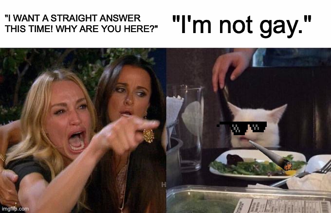 Woman Yelling At Cat | "I WANT A STRAIGHT ANSWER THIS TIME! WHY ARE YOU HERE?"; "I'm not gay." | image tagged in memes,woman yelling at cat | made w/ Imgflip meme maker