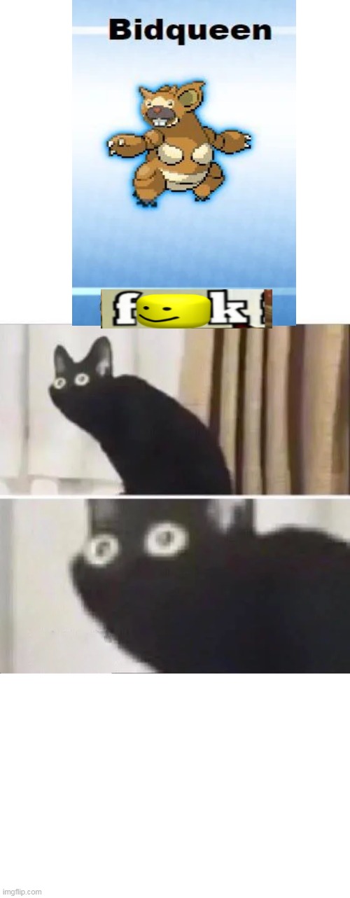 i don't even know anymore.. | image tagged in oh no black cat | made w/ Imgflip meme maker