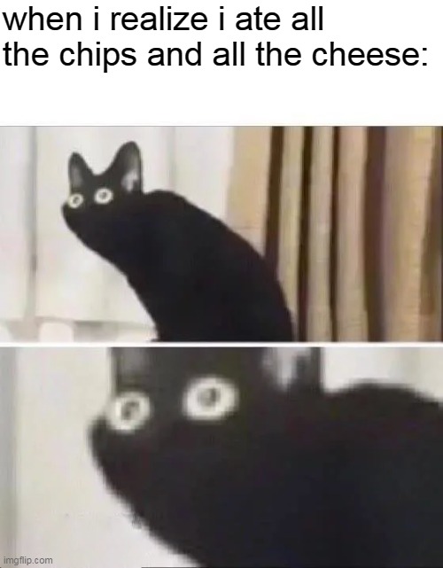 i dont even know what to name this | when i realize i ate all the chips and all the cheese: | image tagged in oh no black cat | made w/ Imgflip meme maker
