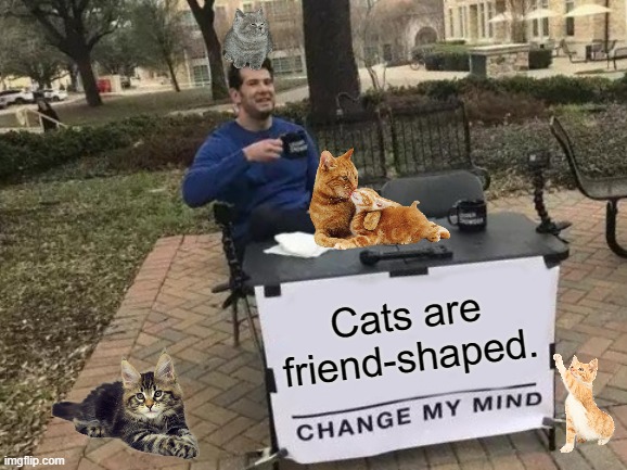 Change My Mind | Cats are friend-shaped. | image tagged in memes,change my mind,funny,animals,cats | made w/ Imgflip meme maker