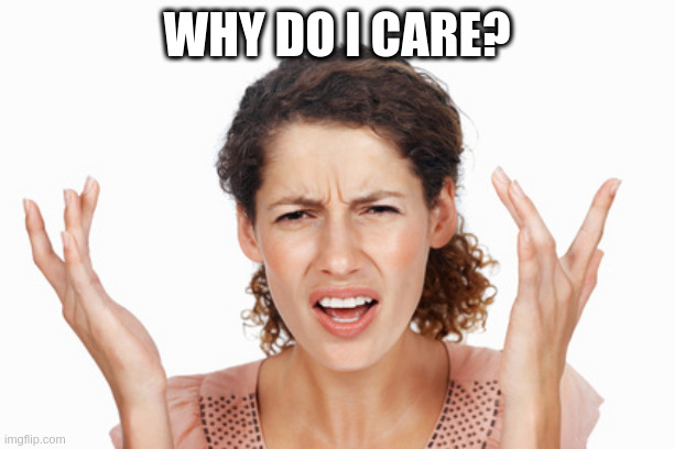 Indignant | WHY DO I CARE? | image tagged in indignant | made w/ Imgflip meme maker