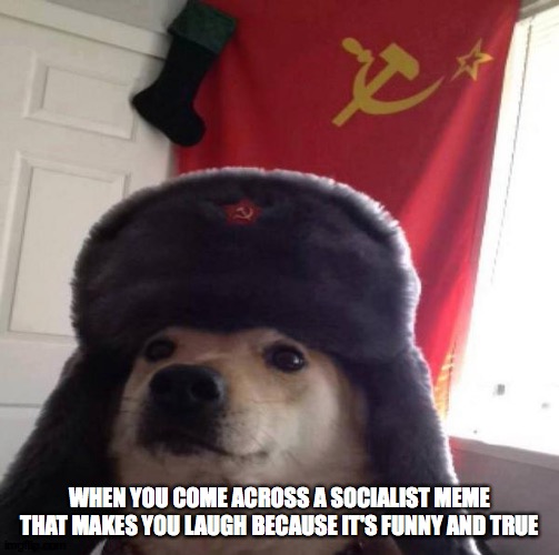 Russian Doge | WHEN YOU COME ACROSS A SOCIALIST MEME THAT MAKES YOU LAUGH BECAUSE IT'S FUNNY AND TRUE | image tagged in russian doge | made w/ Imgflip meme maker