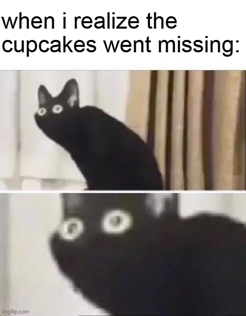 NOOOOOOOOOOOOOOOOOOOOOO | when i realize the cupcakes went missing: | image tagged in oh no black cat | made w/ Imgflip meme maker
