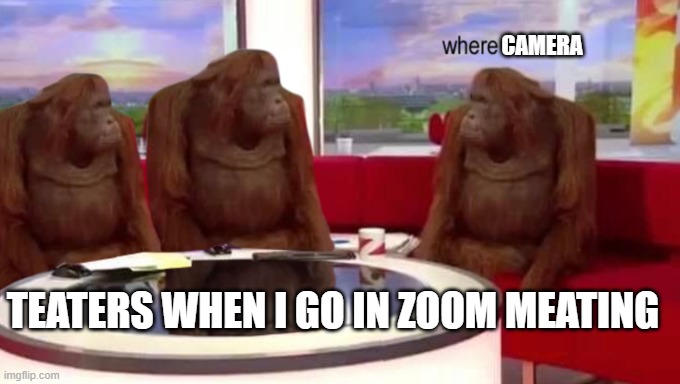 teaters these days | CAMERA; TEATERS WHEN I GO IN ZOOM MEATING | image tagged in where banana | made w/ Imgflip meme maker