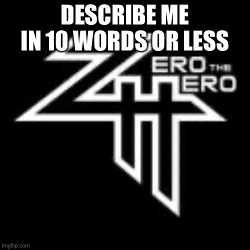 ZeroTheHero | DESCRIBE ME IN 10 WORDS OR LESS | image tagged in zerothehero | made w/ Imgflip meme maker