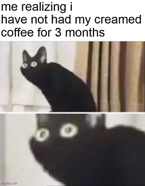 lol | me realizing i have not had my creamed coffee for 3 months | image tagged in oh no black cat | made w/ Imgflip meme maker