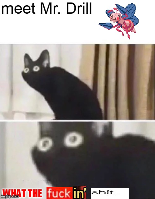 ew | meet Mr. Drill; WHAT THE | image tagged in oh no black cat | made w/ Imgflip meme maker