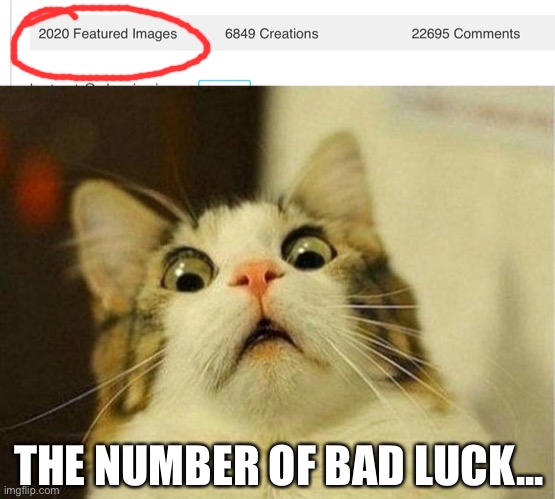 When you realize how many featured images u have... | THE NUMBER OF BAD LUCK... | image tagged in memes,scared cat,2020,funny | made w/ Imgflip meme maker