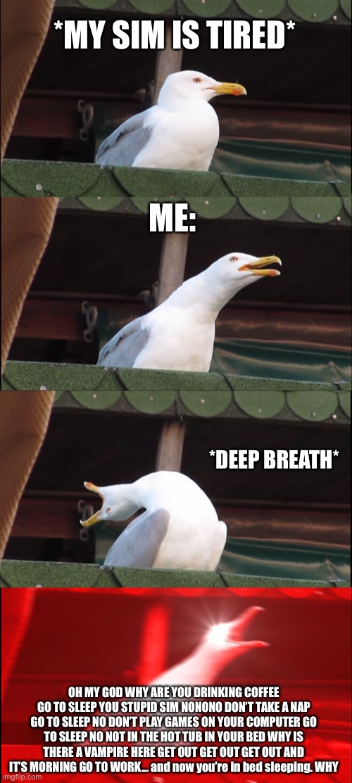 Inhaling Seagull Meme | *MY SIM IS TIRED*; ME:; *DEEP BREATH*; OH MY GOD WHY ARE YOU DRINKING COFFEE GO TO SLEEP YOU STUPID SIM NONONO DON’T TAKE A NAP GO TO SLEEP NO DON’T PLAY GAMES ON YOUR COMPUTER GO TO SLEEP NO NOT IN THE HOT TUB IN YOUR BED WHY IS THERE A VAMPIRE HERE GET OUT GET OUT GET OUT AND IT’S MORNING GO TO WORK... and now you’re in bed sleeping. WHY | image tagged in memes,inhaling seagull | made w/ Imgflip meme maker