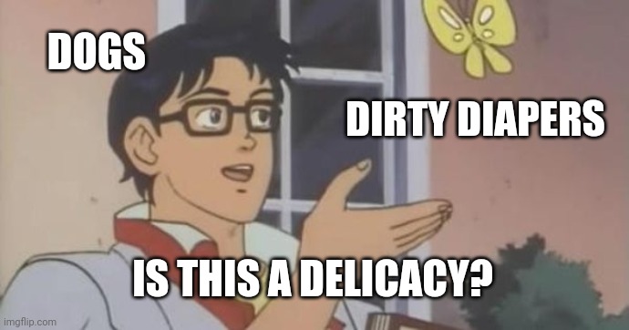Is This a Pigeon | DOGS; DIRTY DIAPERS; IS THIS A DELICACY? | image tagged in is this a pigeon | made w/ Imgflip meme maker