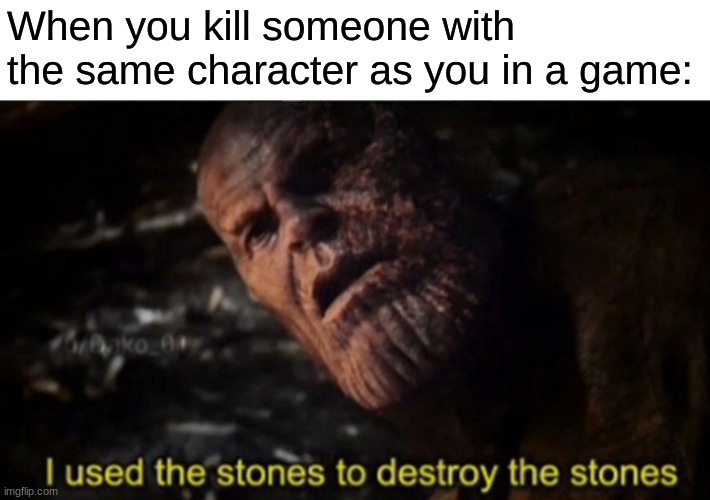 Thanos I used the stones to destroy the stones | When you kill someone with the same character as you in a game: | image tagged in thanos i used the stones to destroy the stones | made w/ Imgflip meme maker