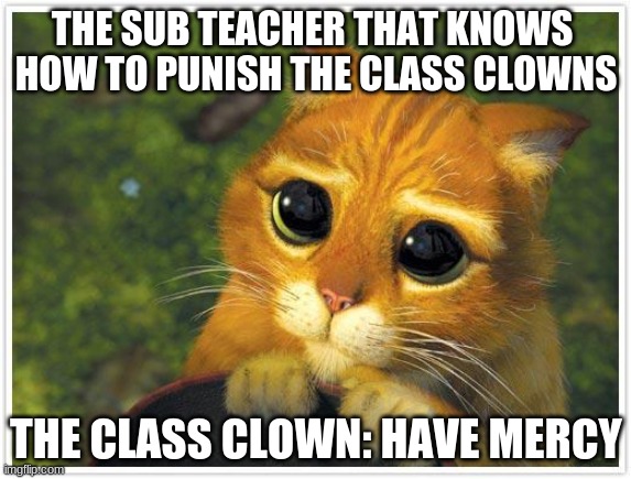 Shrek Cat Meme | THE SUB TEACHER THAT KNOWS 
HOW TO PUNISH THE CLASS CLOWNS; THE CLASS CLOWN: HAVE MERCY | image tagged in memes,shrek cat | made w/ Imgflip meme maker